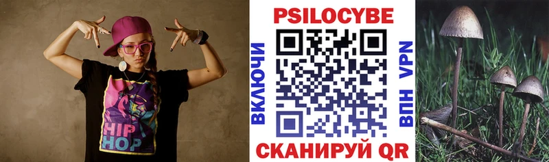 Псилоцибиновые грибы мицелий  Купить  Зубцов 